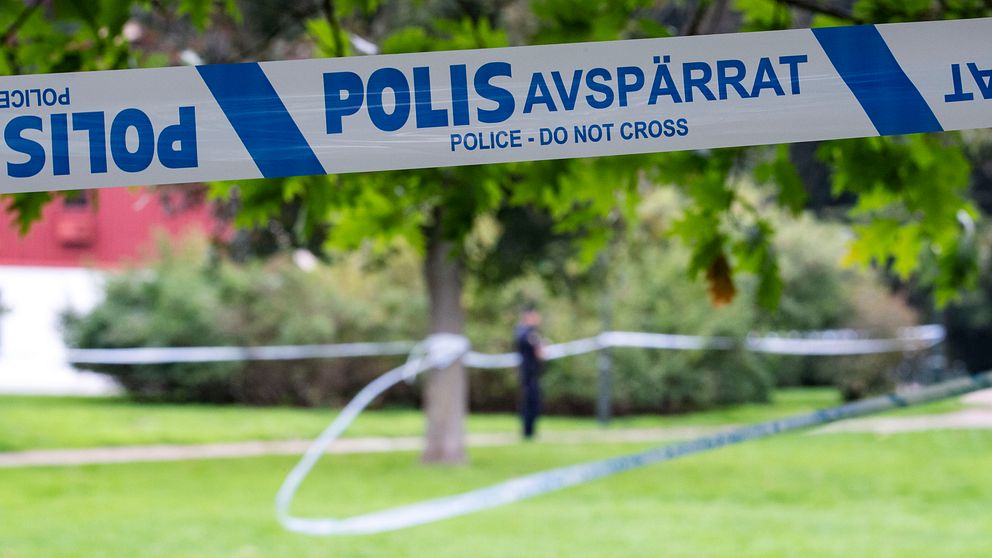 Det misstänkta mordförsöket ägde rum i Rönneholmsparken i Malmö den 7 september i år.