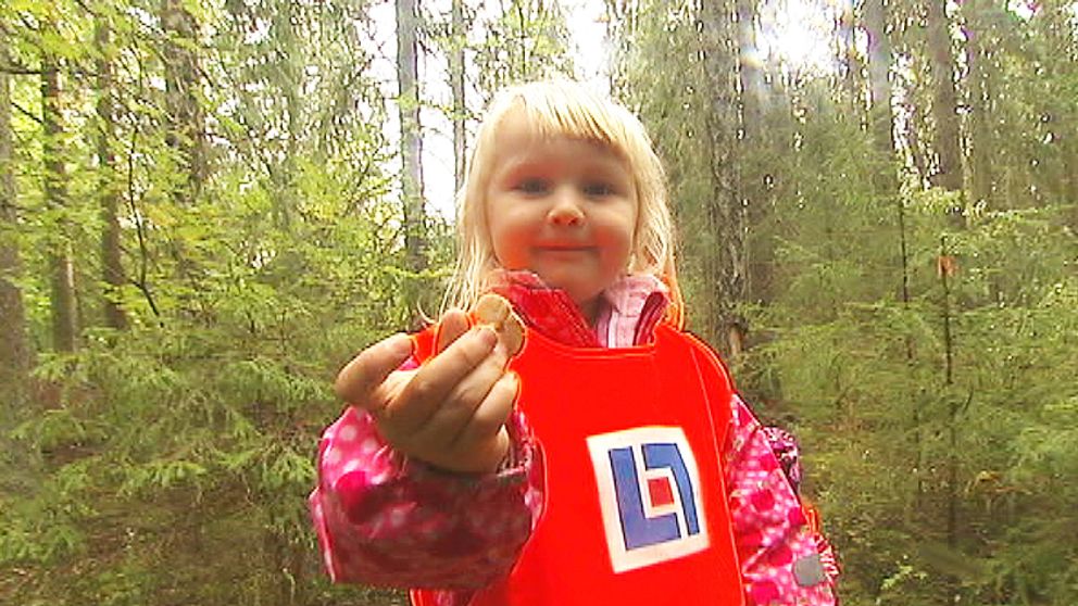 Enya Eklöf har hittat en svamp i skogen