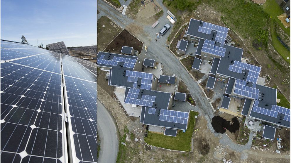 Länsstyrelsen i Blekinge har i år fått in rekordmånga ansökningar om bidrag för solceller.
