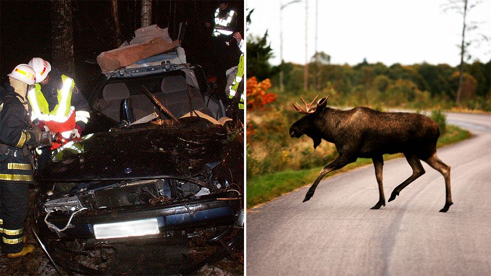 Vid den här olyckan 2004 omkom en man efter att ha kolliderat med en älg.