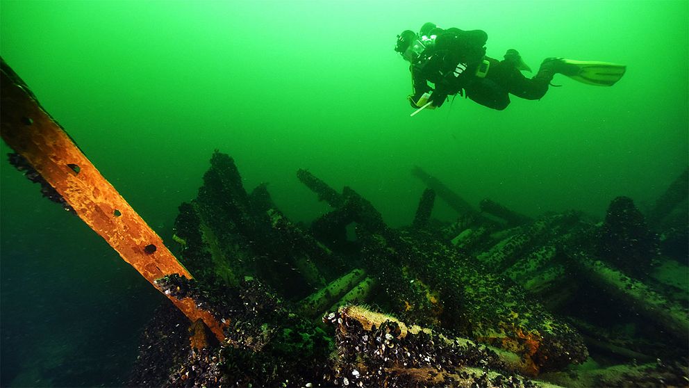 Sjöhistoriska museets marinarkeologer undersöker på länsstyrelsens uppdrag ett par ångfartygsvrak utanför Gotland. Undersökningsresultaten kommer att ligga till grund när länsstyrelsen ska besluta om vraken ska fornlämningsförklaras. På bilden marinarkeolog Mikael Fredholm vid vraket av Princess som förliste utanför Östergarn 1888 på väg från Sankt Petersburg till London.