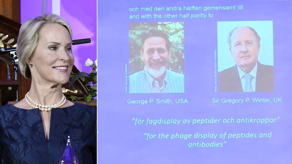 Frances H Arnold från USA, George P Smith från USA och Gregory P Winter från Storbritannien får dela på årets Nobelpris i kemi.