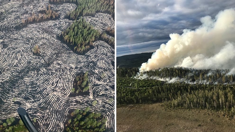 flygbilder över bränd mark, och kraftigt rökmoln från skogen