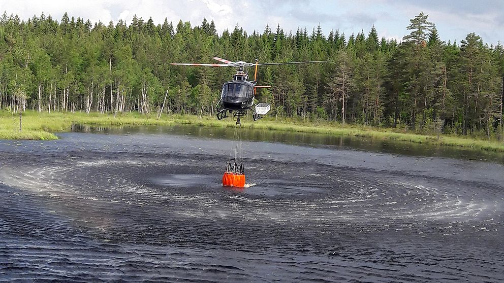 helikopter hovrar över skogssjö och fyller vattenkasse för vattenbombning