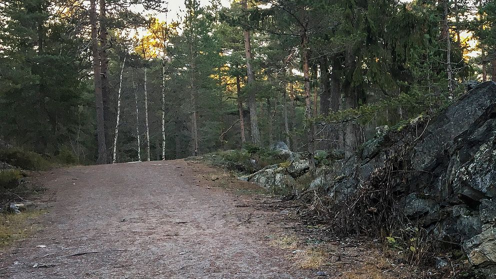 Västra slingan i Hudiksvall.