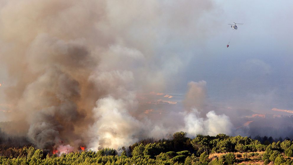 En helikopter flyger över skogsbranden nära byn Charneca i nationalparken Sintra.