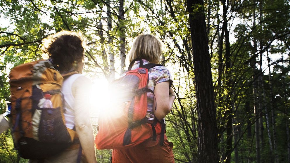 två personer vandrar med ryggsäck i solig skog