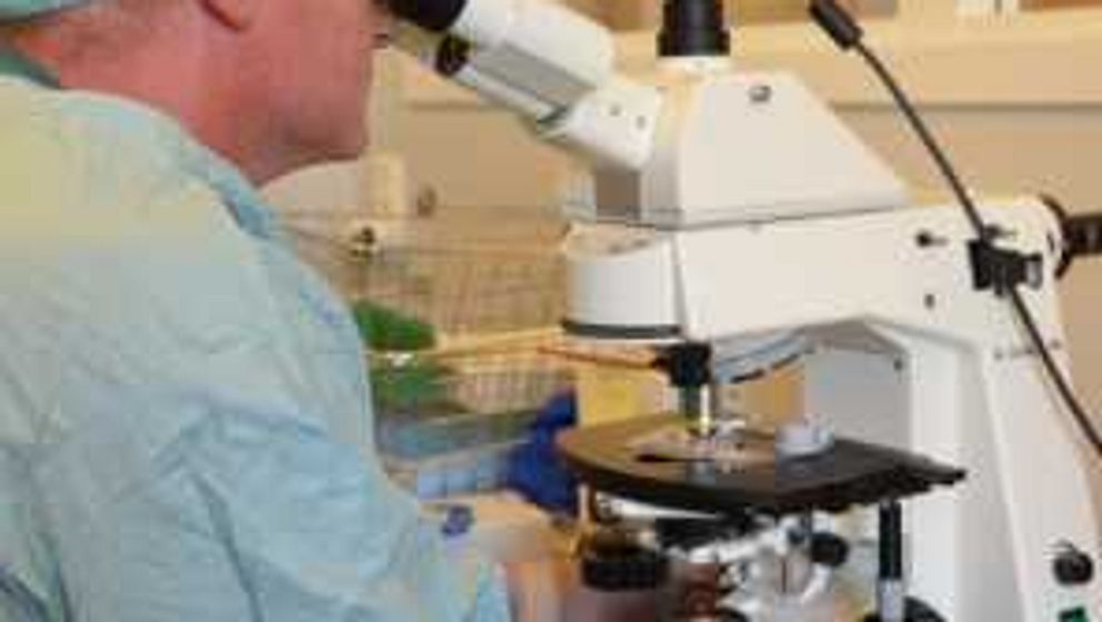 läkare tittar i mikroskop på en hornhinna