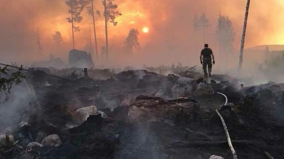 Hemvärnssoldat i motljus går över rykande hygge i samband med skogsbränderna sommaren 2018