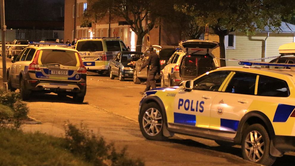 Ett flertal polisbilar är på plats i bostadsområdet efter skottlossningen.