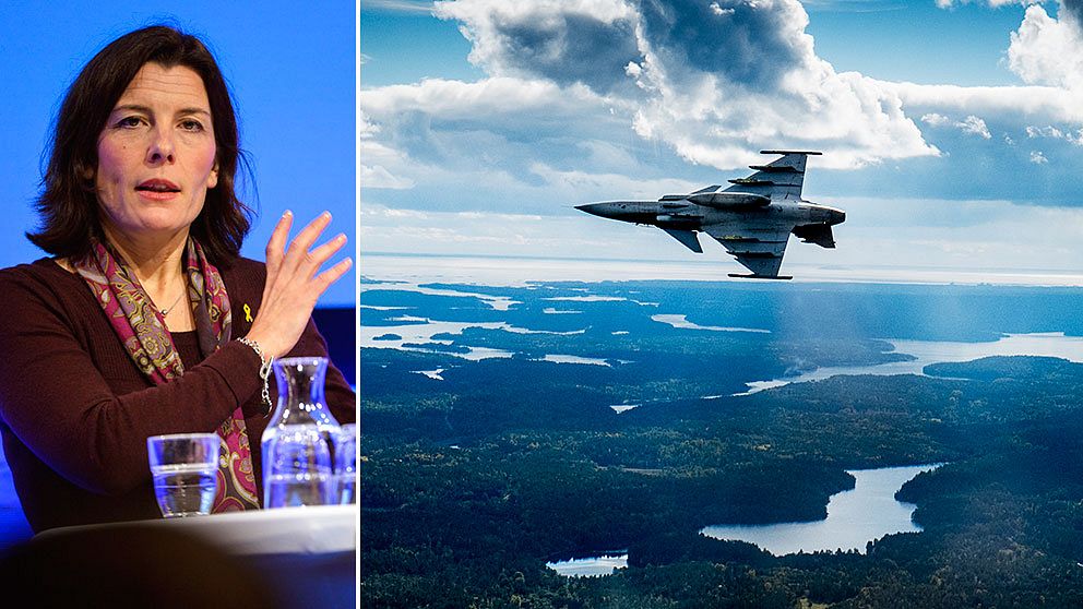 Sätt kryssningsrobotar i Gripenplanen, säger försvarsminister Karin Enström (M).