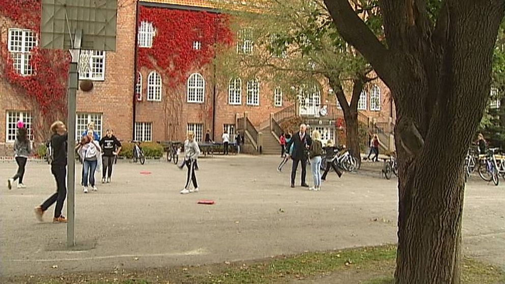Internationella Engelska skolan i Sundsvall anmäler kommunen för brott mot skollagen