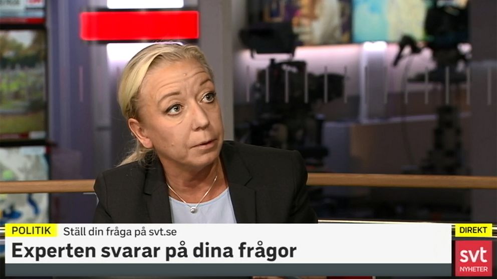 SVT:s politikreporter Elisabeth Marmorstein