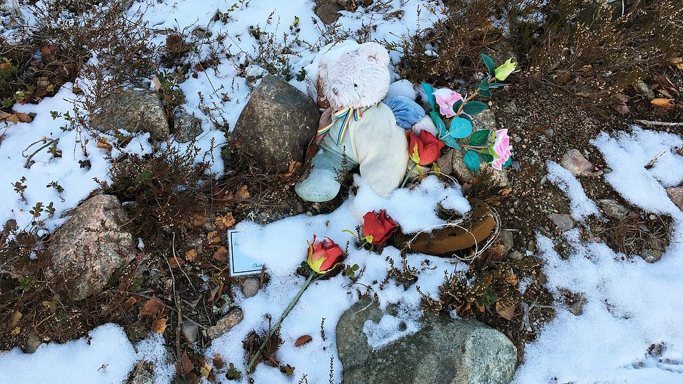blommor och en nalle på marken, lite snö och stenar