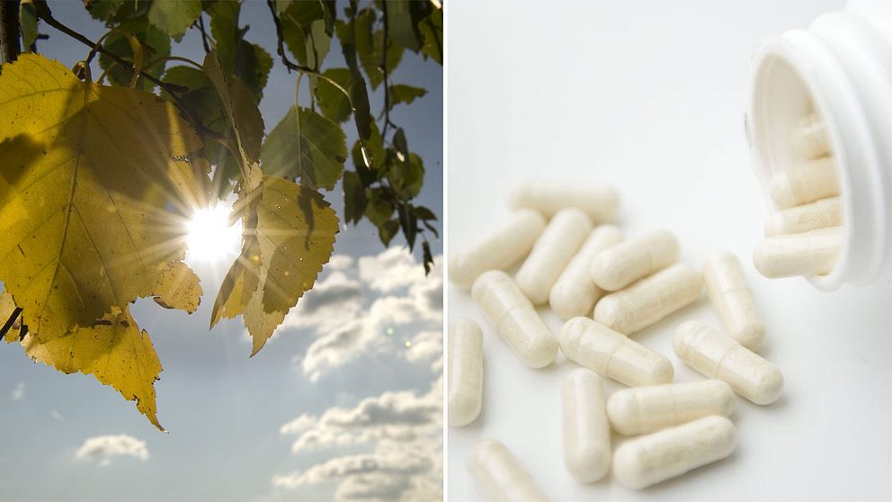 Sol, höstlöv och vitaminer