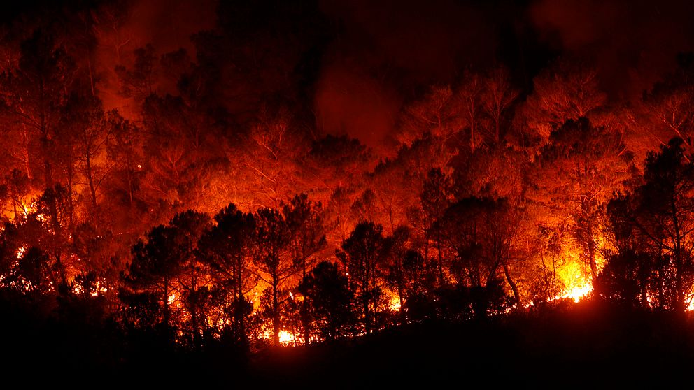 Bilden tagen under måndagen visar skogsbränder nära Boadella i den spanska provinsen Girona.