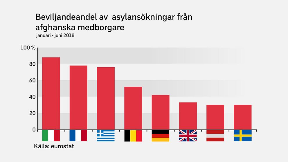 Från vänster: Italien, Frankrike, Grekland, Belgien, Tyskland, Storbritannien, Österrike och Sverige är de åtta länder som hanterar i princip samtliga asylärenden med afghanska medborgare i EU.