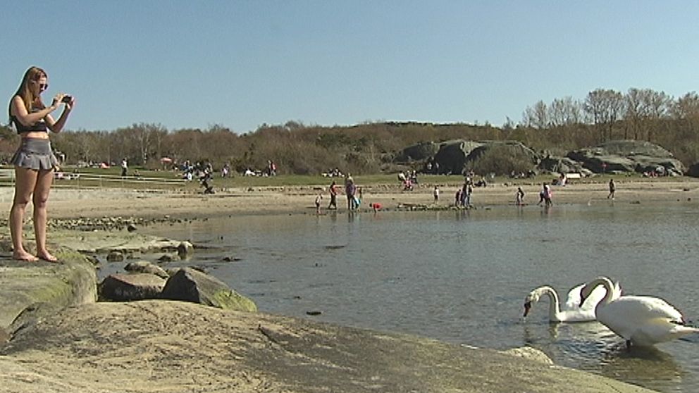 Sommar? Nej, men väl rejäl vårvärme och sol i massor över Onsala vid norra Hallandskusten på annandag påsk den 21 april.