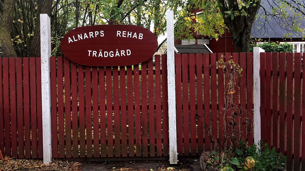 Rehab-trädgården vid Lantbruksuniversitetet i Alnarp