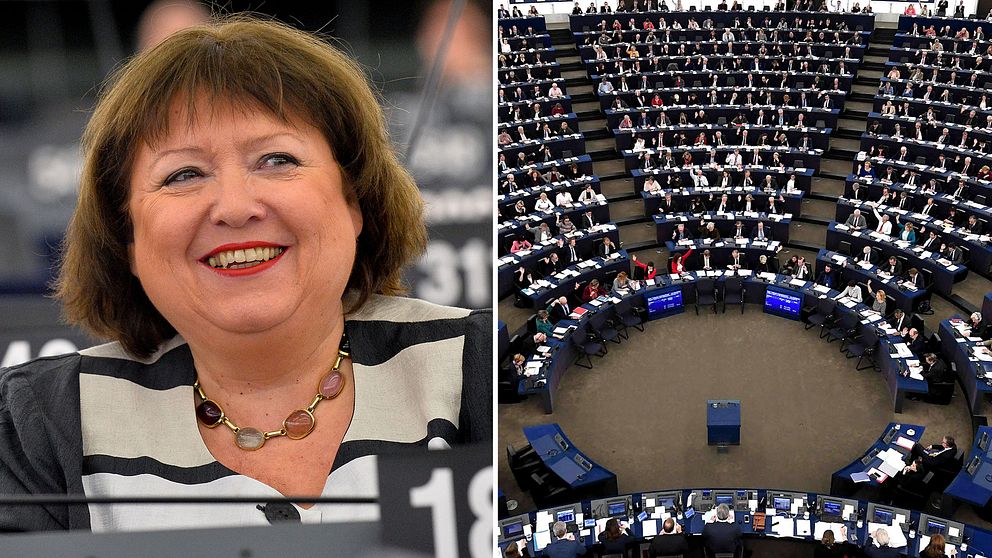 EU-parlamentet fick inte sin vilja igenom. Dagmar Roth-Behrendt, socialdemokratisk EU-parlamentariker, var en av dem som kämpade för hårdare regler.