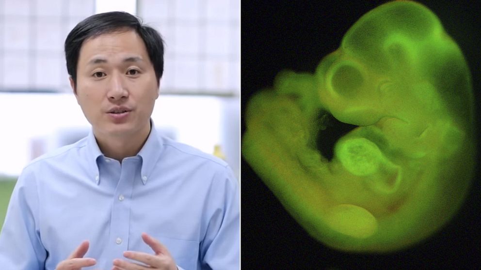Den kinesiska forskaren He Jiankuis och en bild på ett embryo.