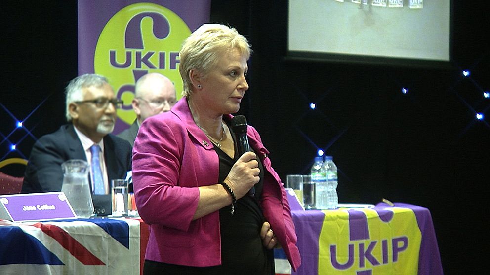 Jane Collins, UKIP