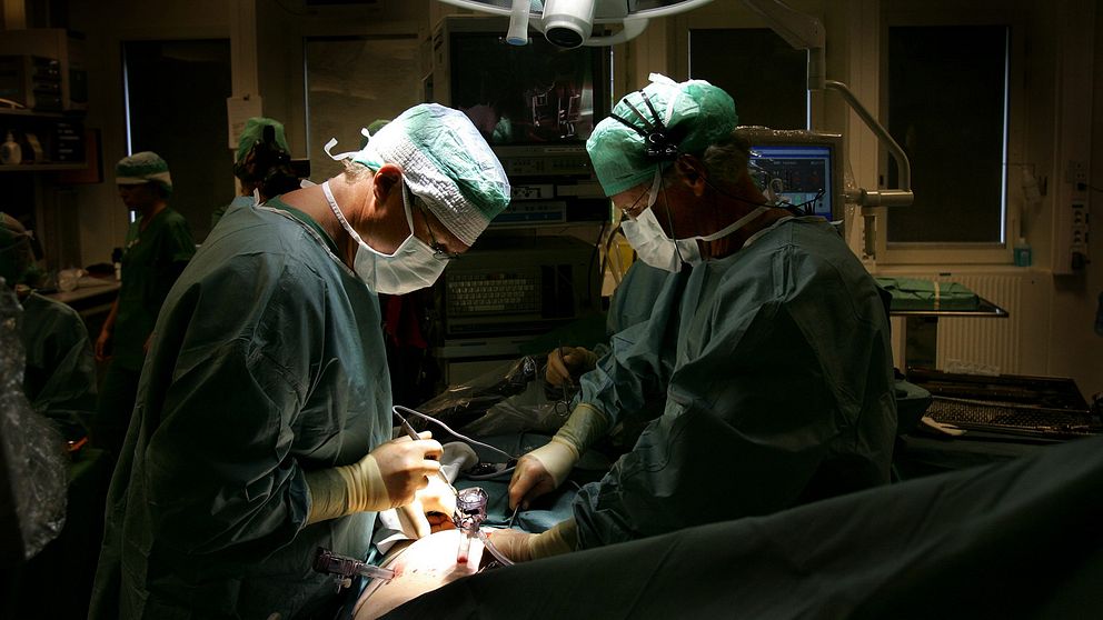 I september 2004 bjöd Karolinska Institutet i Huddinge in ett antal journalister och fotografer att närvara vid en njurtransplantation.