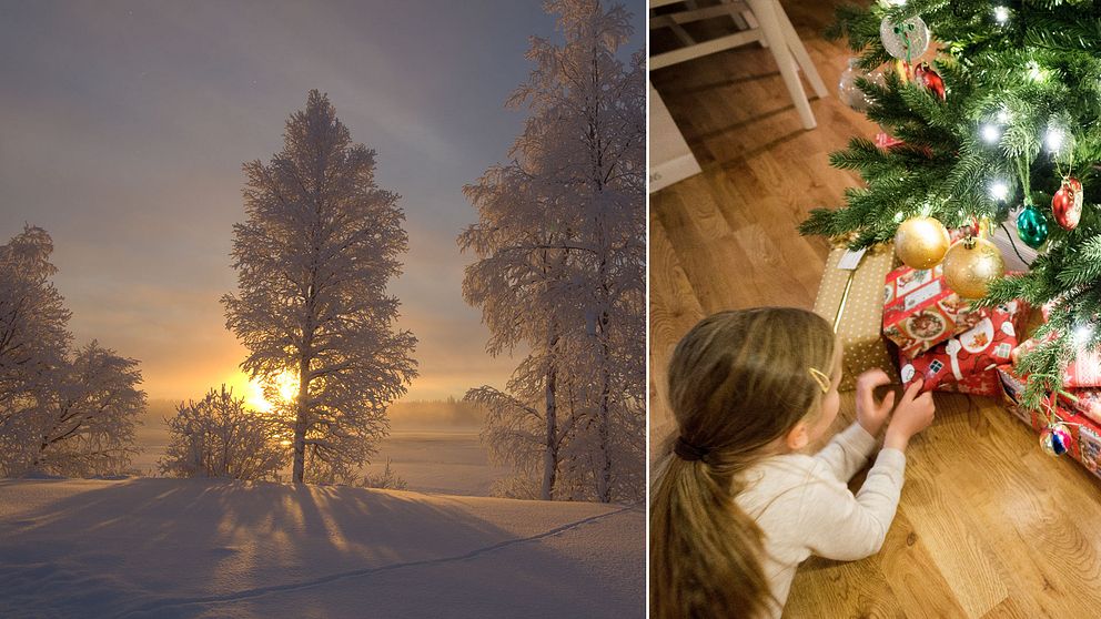 Snöklätt landskap och en flicka med julklappar under en pyntad julgran