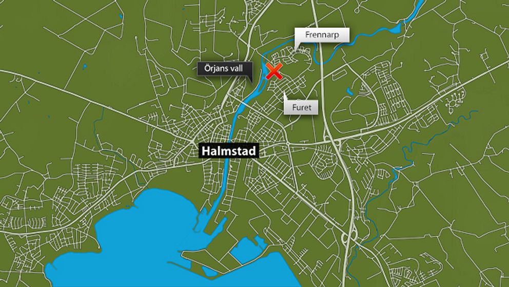 Mordet på 16-åringen från Halmstad.
