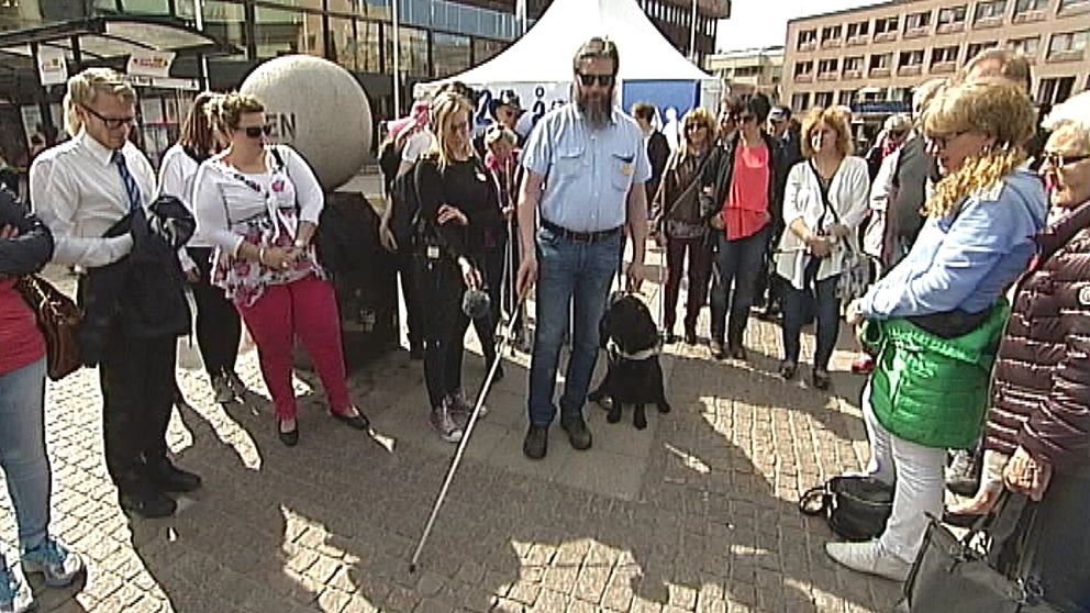 Synskadad med hund