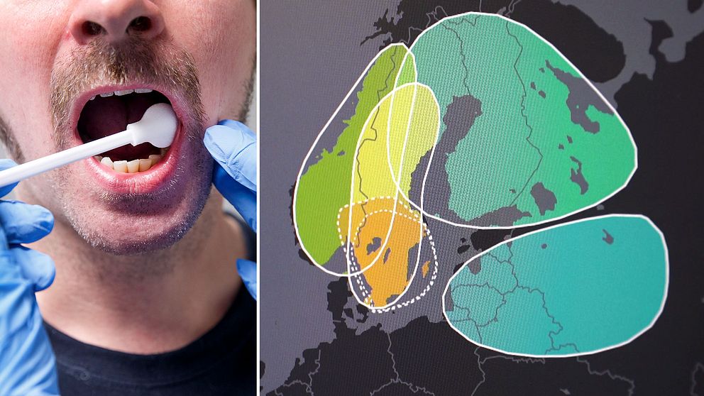 Släktforskningsföretagens DNA-kartor ger en förlegad syn på etnicitet, menar experter