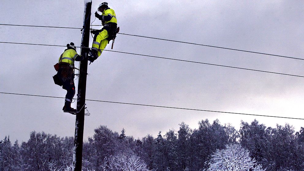 strömavbrott, elledning, el, strömlöst, elektriker, tt