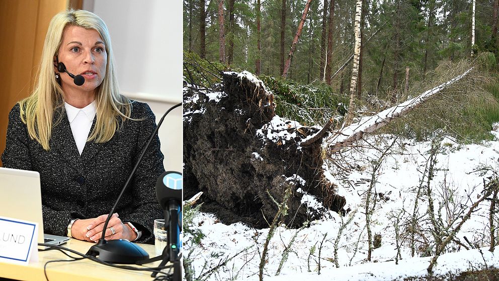 Annika Viklund, vd Vattenfall Eldistribution, talar vid en pressträff tillsammans med Norrtälje kommun med anledning av stormen Alfrida.