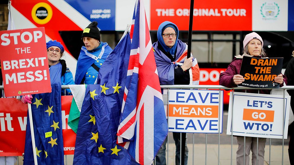 Brexit-demonstranter, både för och mot