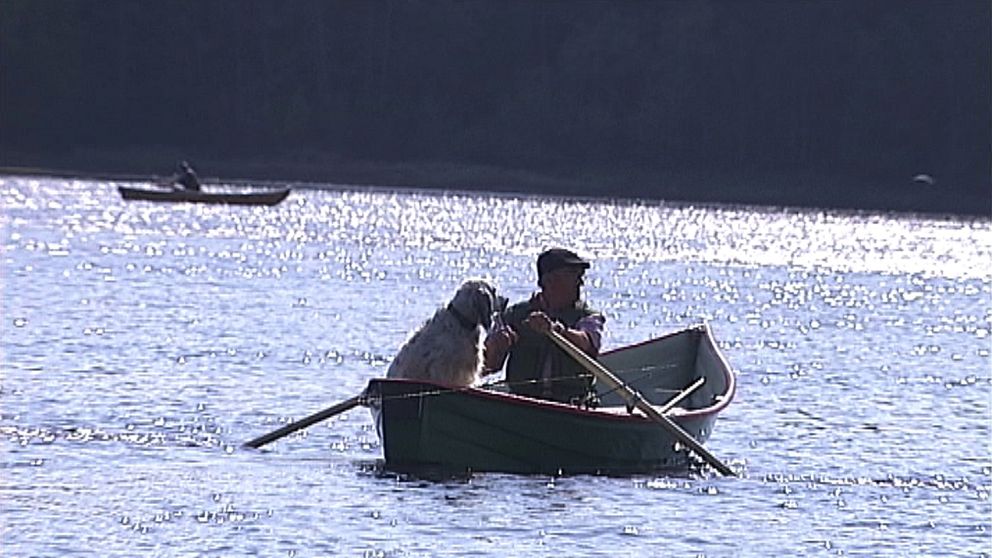 man och hund i roddbåt