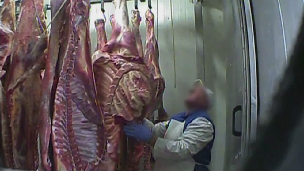 I det polska slakteriet skars sjuka delar bort och köttet kvalitetsmärktes, enligt tv-bolaget TVN24.