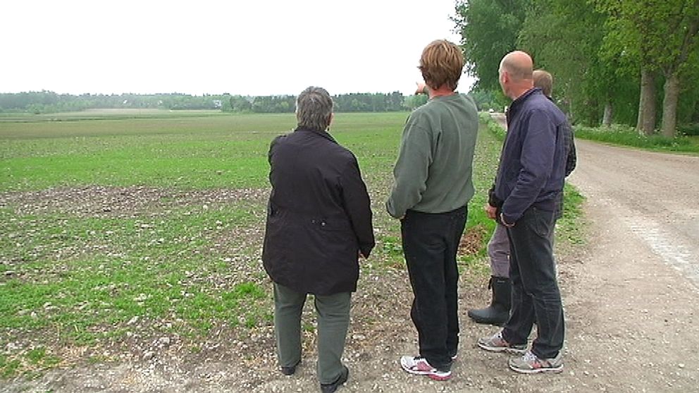 20 markägare på norra Gotland ger sig nu in i vindkraftsbranschen. Om miljardprojektet går i lås så handlar det om den enskilt största vindkraftssatsningen någonsin på Gotland.