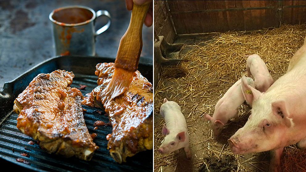 Svenskt griskött blir mer populär efter debatt.