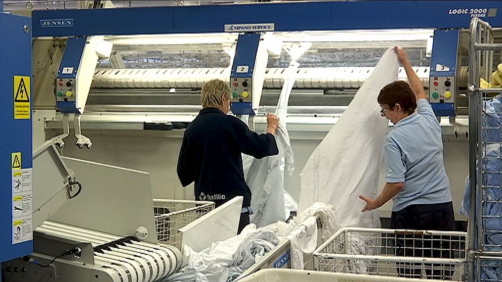 Långeseletvätten har drivits sedan 1949 och är en av Sollefteås största privata arbetsgivare. Tvätten sysselsätter runt 100 personer i Långsele.