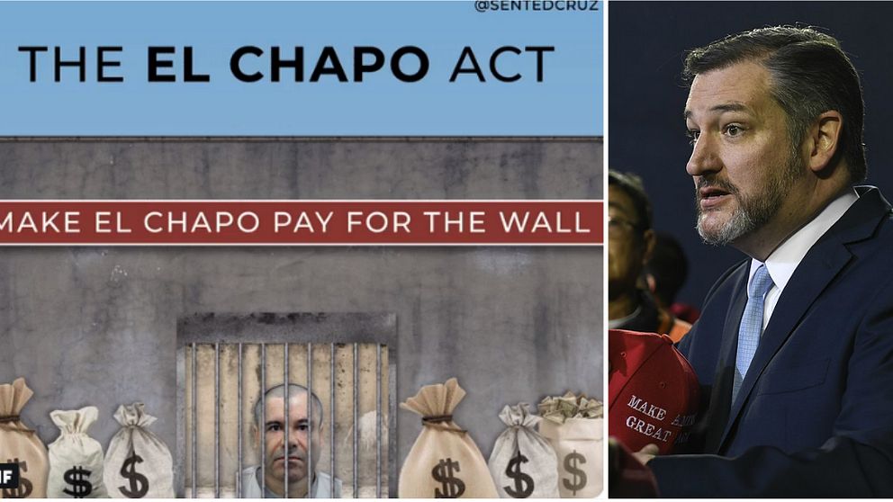 Senatorn Ted Cruz menar att man borde använda knarkkungen ”El Chapos” tillgångar för att betala muren mot Mexiko.
