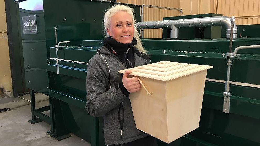 Josefin Lundqvist har startat ett hästkreatorium