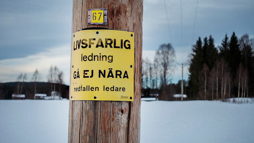 Närbild på ledningsstolpe.