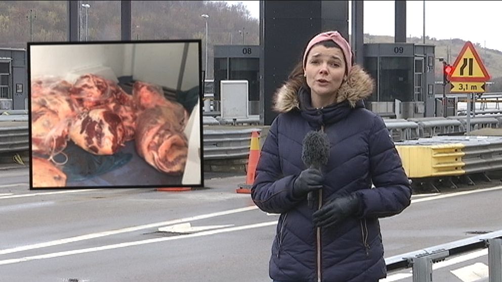 Flera ton kött har beslagtagits av tullen vid Öresundsbron.