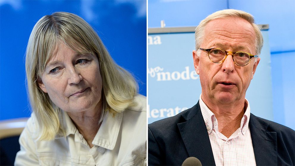 Marita Ulvskog (S) och Gunnar Hökmark (M)