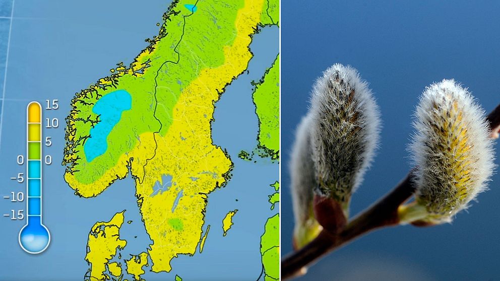 Temperaturen blir nästintill tvåsiffrig i delar av landet i helgen