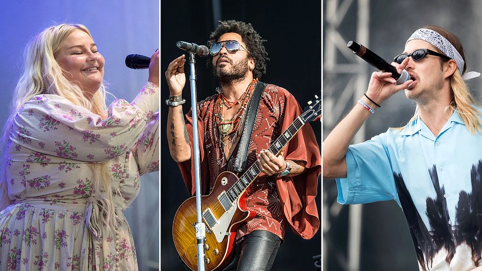 På sajten Viagogo säljs konsertbiljetter till bland andra Sarah Klang, Lenny Kravitz och Fricky på Gröna Lund, men biljetterna är långt ifrån prisvärda och i värsta fall ogiltiga.