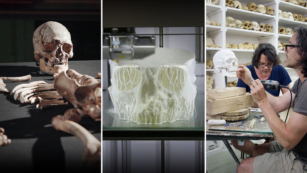 Tre bilder. En med Cheddarmannen, ett 10 000 år gammalt skelett. Andra bilden är Cheddarmannens skalle skapad med hjälp av en 3D-printer. Sista bilden visar två konstnärer som borrar i den 3D-skapade skallen i sitt arbete för att skapa ett ansikte som ska beskriva hur Cheddarmannen såg ut i verkligheten, för 10 000 år sedan.