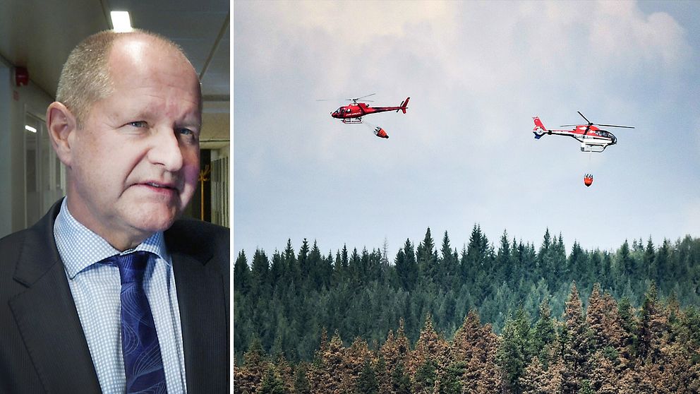 MSB:s generaldirektör Dan Eliasson säger att han är övertygad om att Sverige kommer att kunna bygga en nationell resurs med privata brandhelikoptrar.