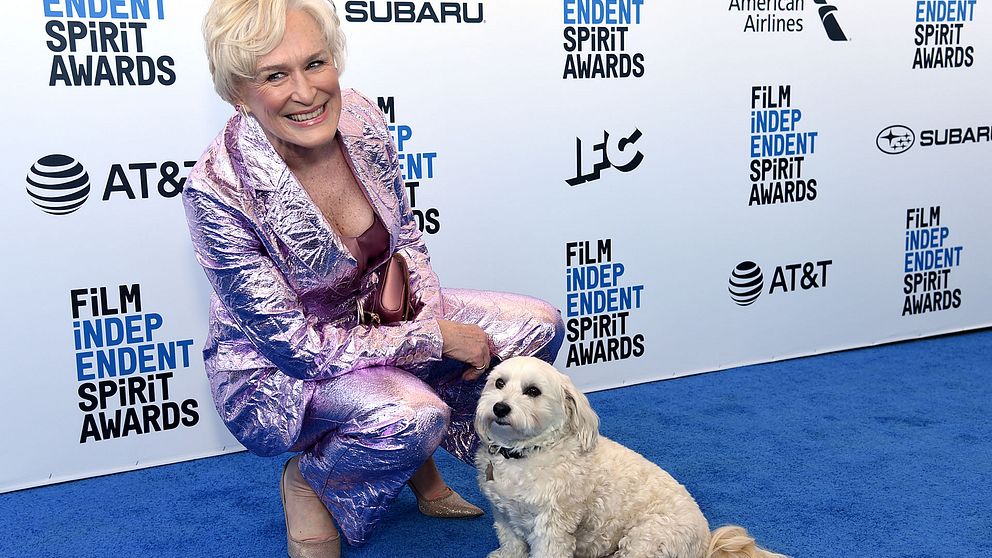 Glenn Close och hennes hund Pip gör entré på 2019 års Independent spirit awards, där skådespelerskan tog hem priset för bästa kvinnliga huvudroll.