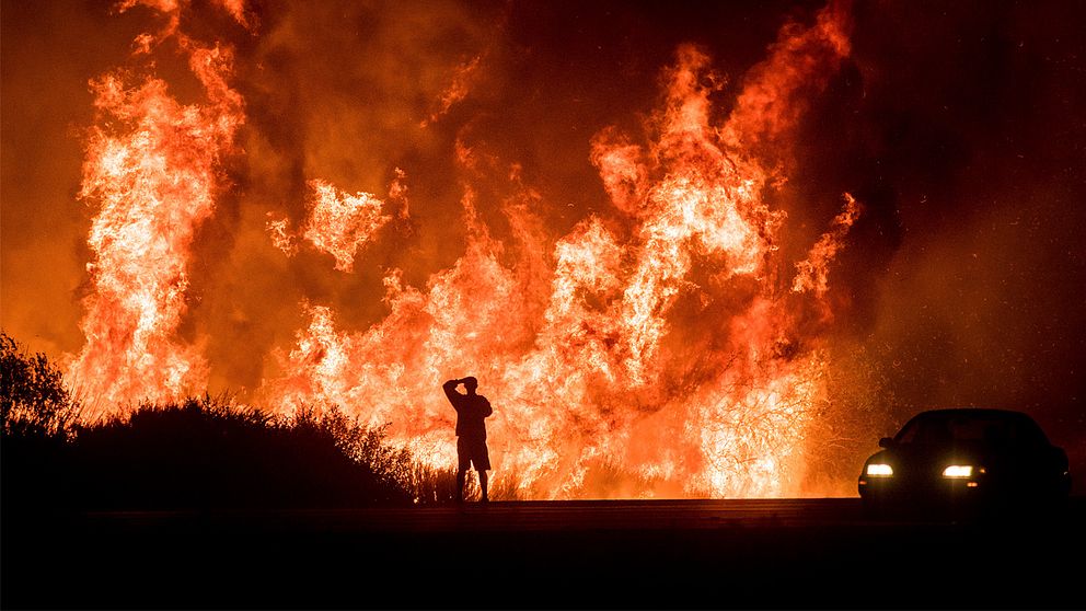 Ensam man framför stor brand.